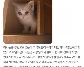 브리티쉬 은이의 가족상봉