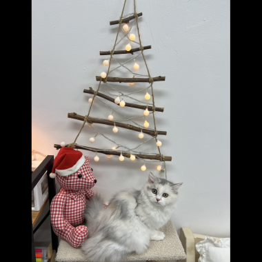 크리스마스가 뭐냥? 반짝반짝